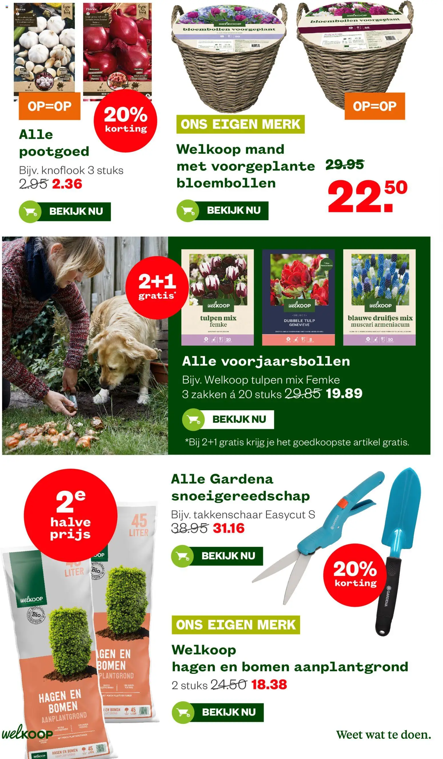 {H1} | Pagina: 16 | Producten: Pot, Mand, Festék, Knoflook