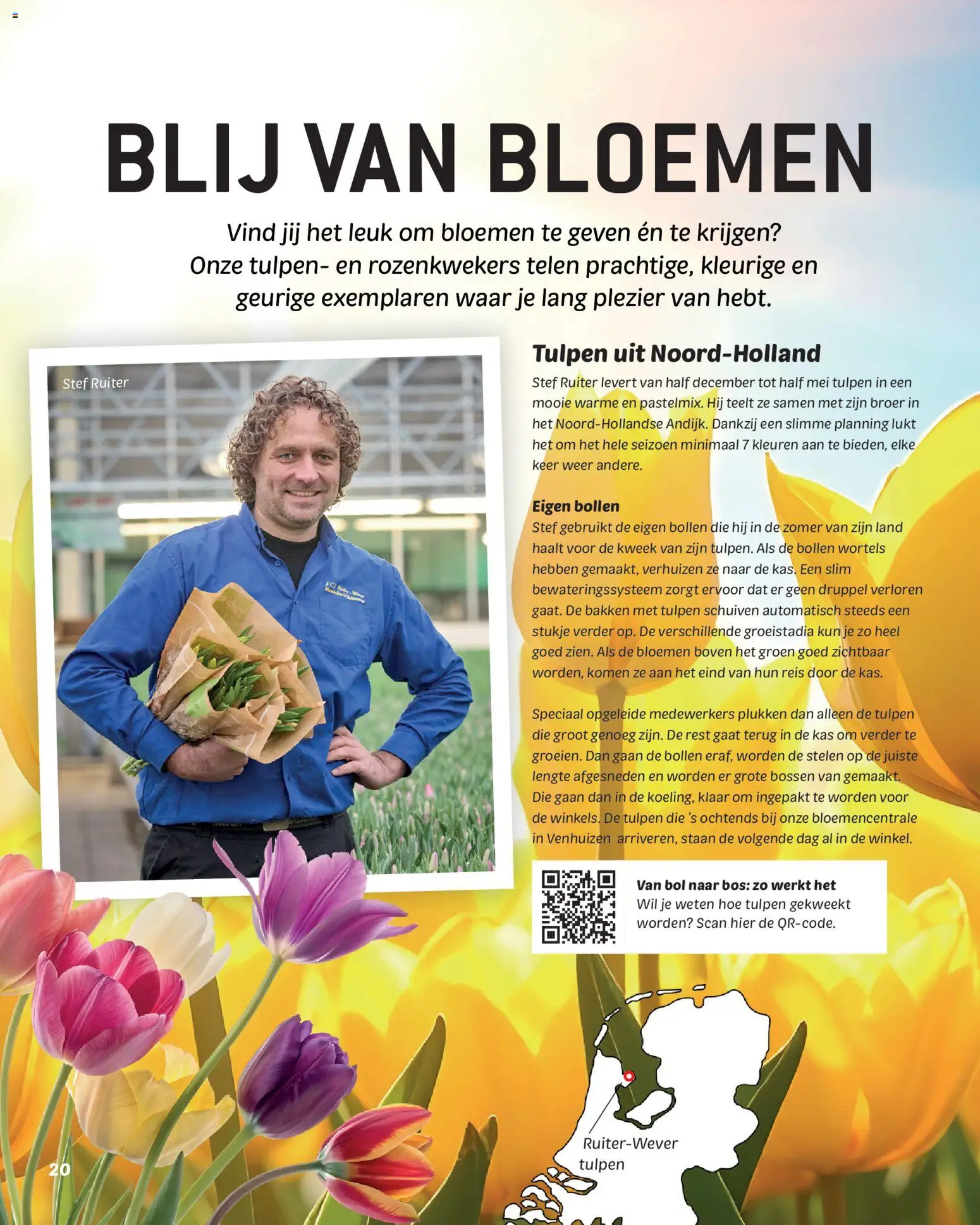 {H1} | Pagina: 20 | Producten: Bloemen, Bol