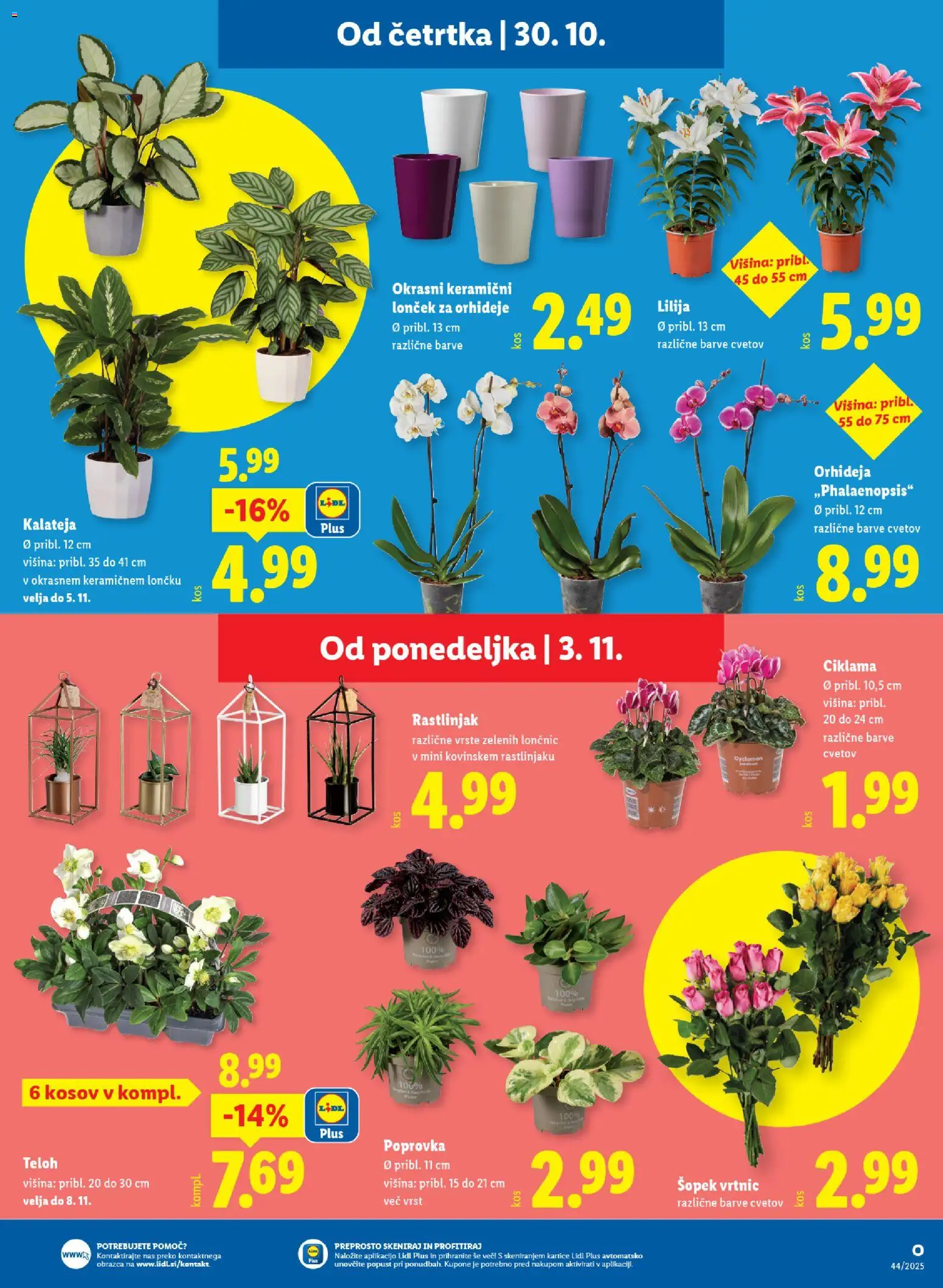 Novi Lidl katalog ponudbe – veljaven od 29.10.2025 | Stran: 11 | Izdelki: Šopek