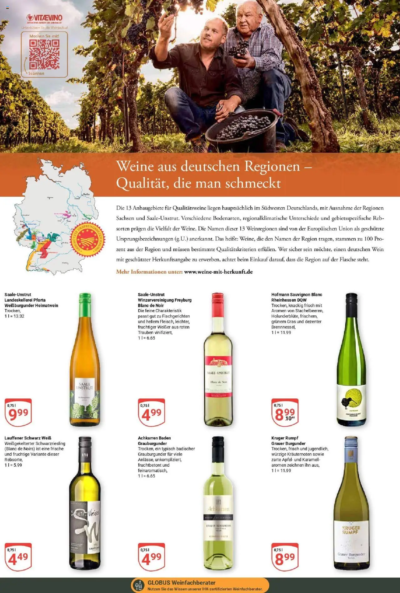 Globus prospekt Hermsdorf	 - gültig ab dem 03.08.2025 | Seite: 21 | Produkte: Trauben, Äpfel, Wein