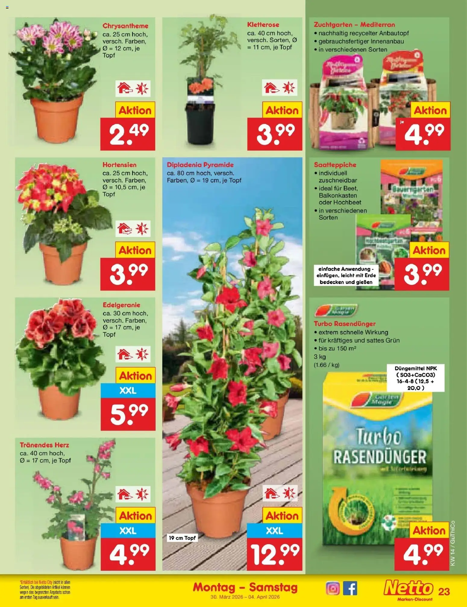 Netto Marken-Discount Prospekt Augustusburg	 – gültig ab 30.03.2026 | Seite: 27 | Produkte: Hochbeet