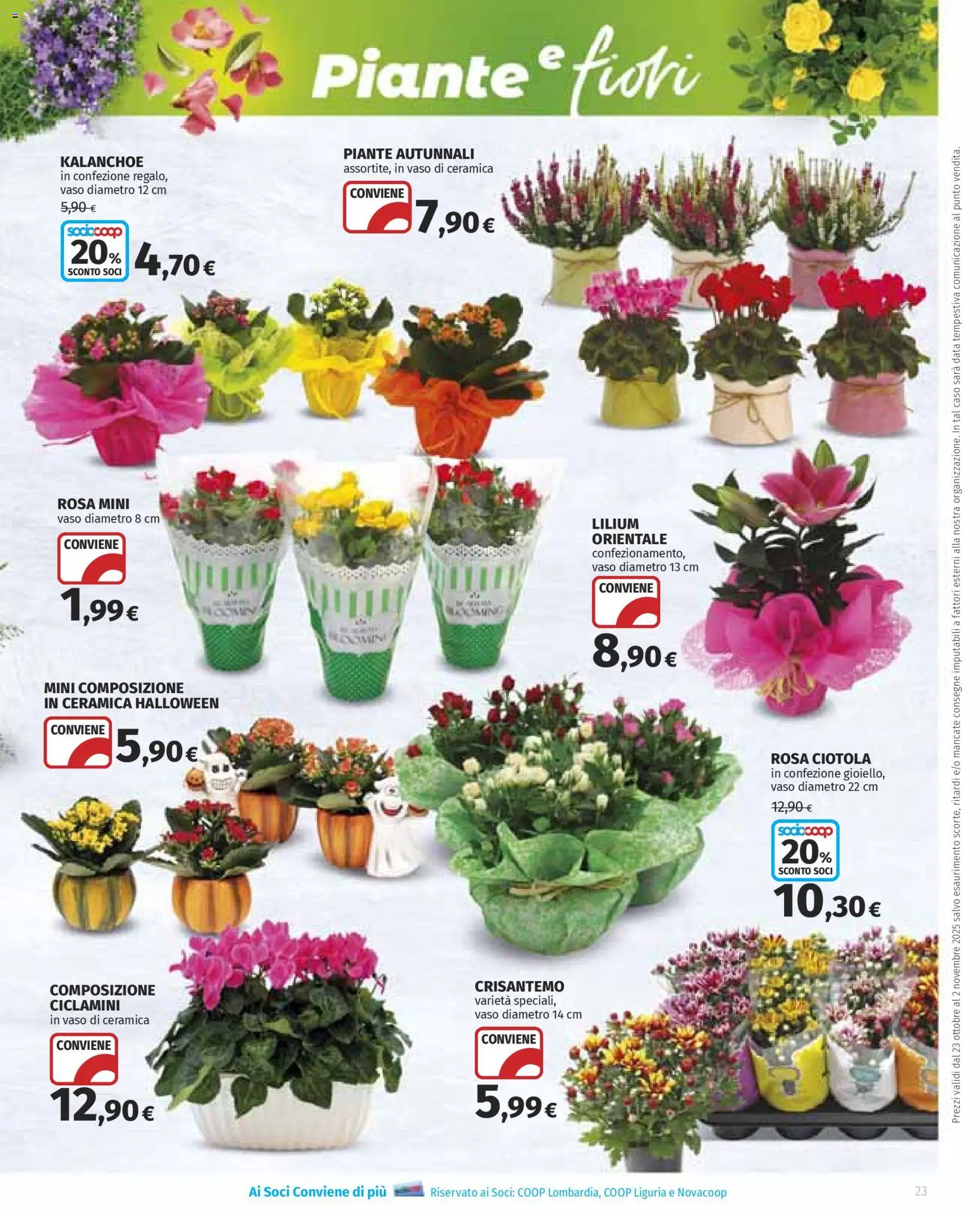 Volantino Ipercoop del 23.10.2025 | Pagina: 23 | Prodotti: Data, Ciotola, Vaso