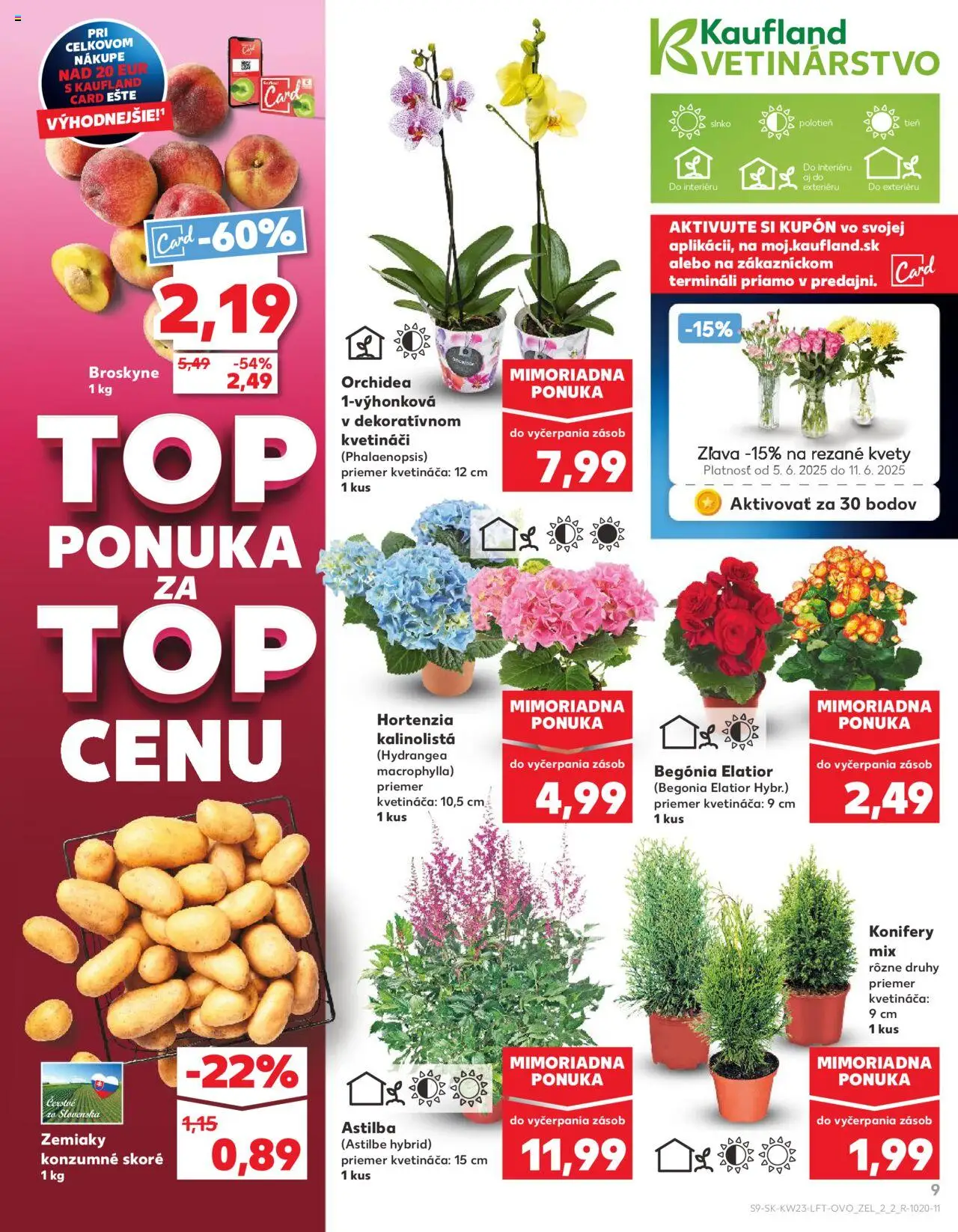 Nové Kaufland akcie – leták je platný od 05.06.2025 | Strana: 9 | Produkty: Zemiaky, Kvety, Orchidea, Broskyne