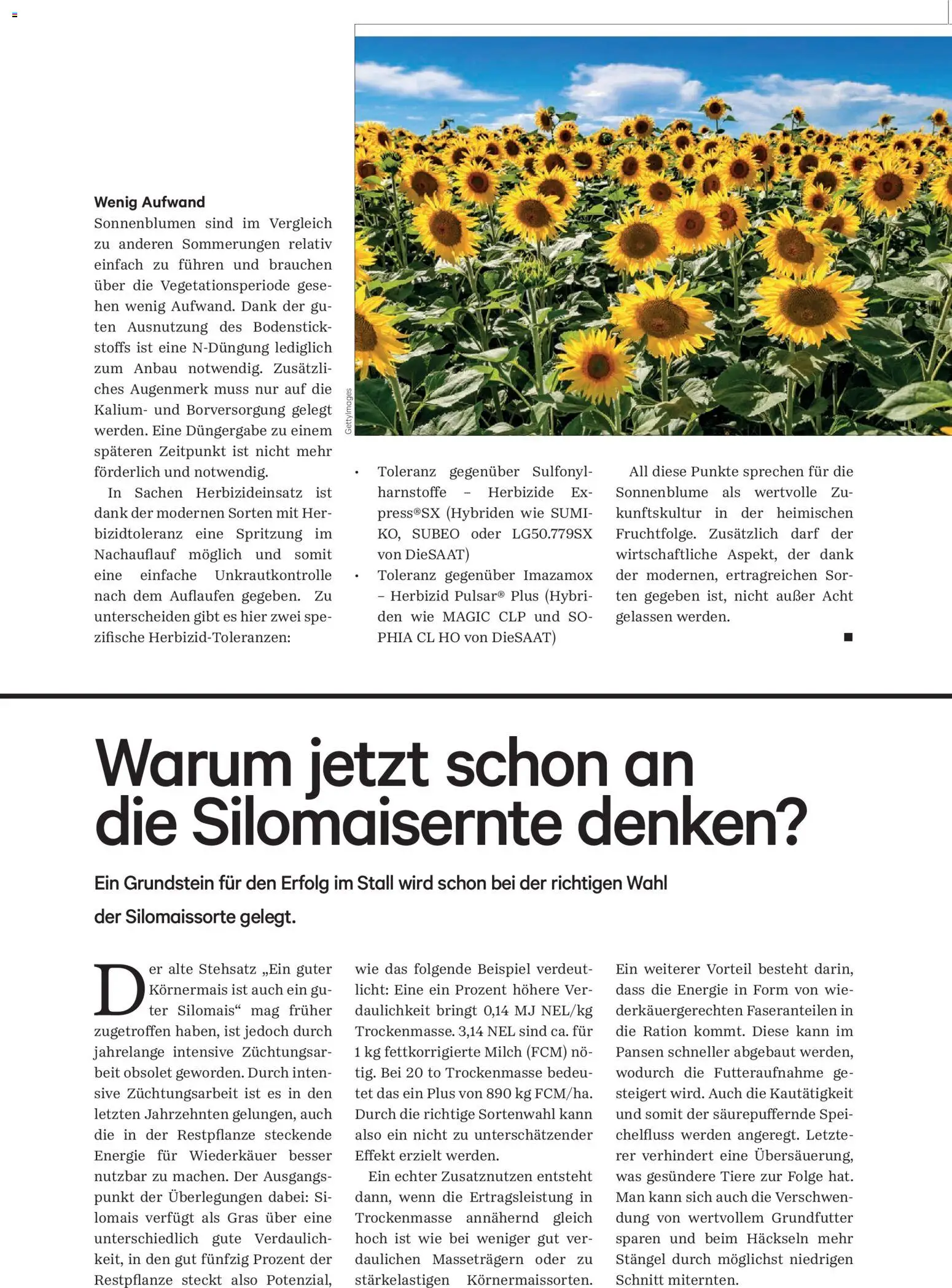 Lagerhaus Unser Land Jänner-Februar  2026 gültig ab 01.01.2026 | Seite: 43 | Produkte: Milch