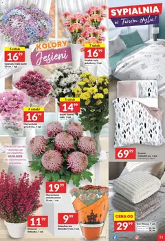 Pogląd oferty "Twój Market Gazetka" - ważna od 29.10.2025 | Strona: 11
