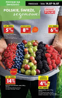 Biedronka gazetka od 14.07.2025 | Strona: 19 | Produkty: Malina, Agrest