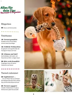 Fressnapf Friends 06/25 ab 01.11.2025 gültig | Seite: 4