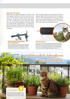 zookauf Themenkatalog Katze ab 01.10.2025 gültig | Seite: 43 | Produkte: Duft, Wasser, Lavendel