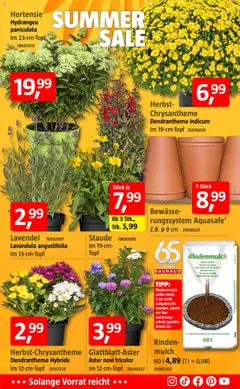 Bauhaus Prospekt 	 - gültig ab dem 20.07.2025 | Seite: 5