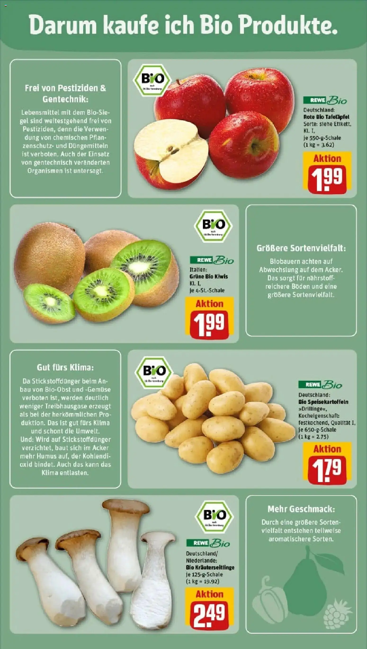 Rewe prospekt Blaustein	 – gültig ab 02.02.2026 | Seite: 11 | Produkte: Gemüse, Kiwi