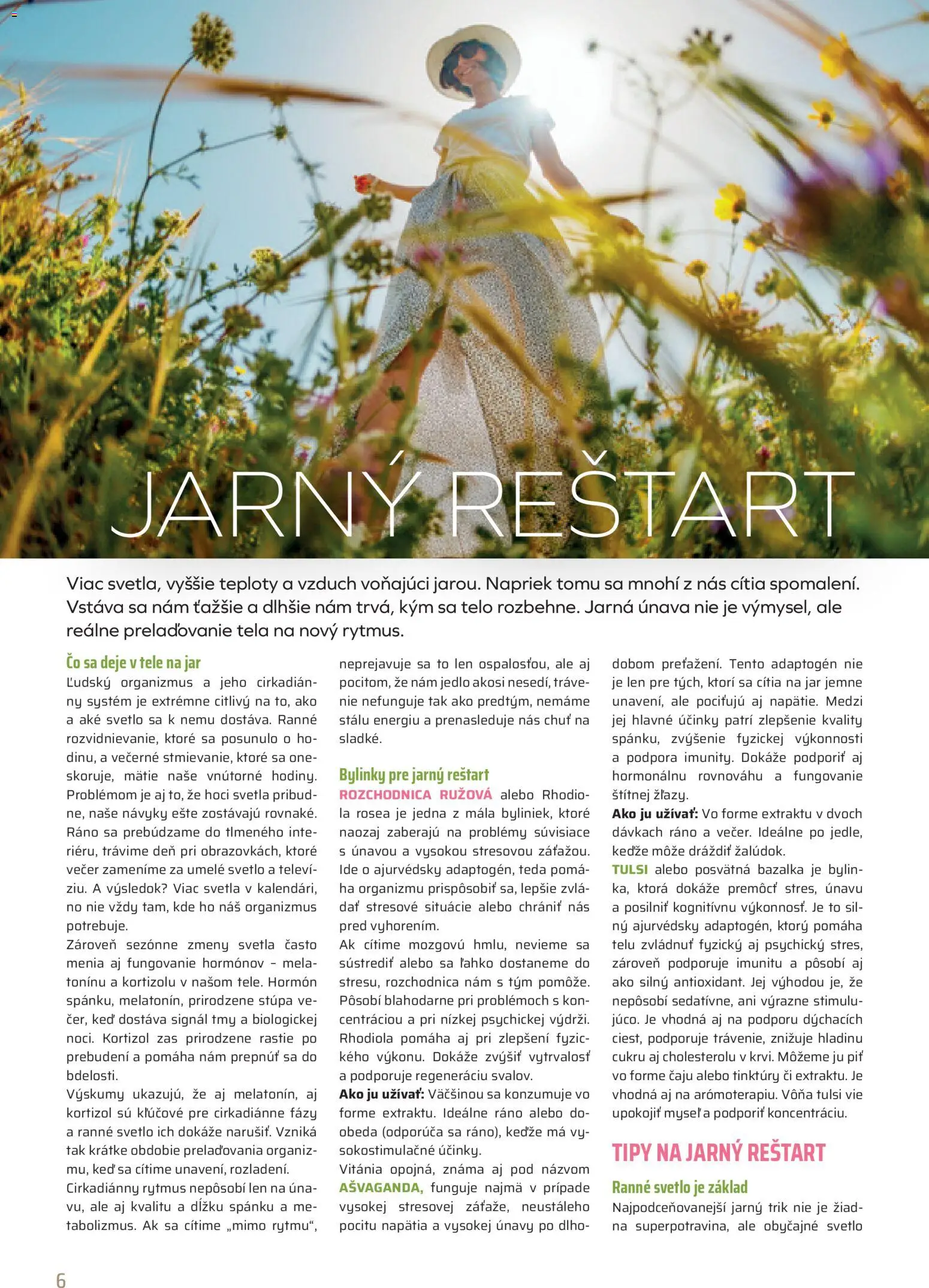 Nové COOP Jednota akcie – leták je platný od 01.05.2026 | Strana: 6 | Produkty: Svetlo, Jar, Svetlá