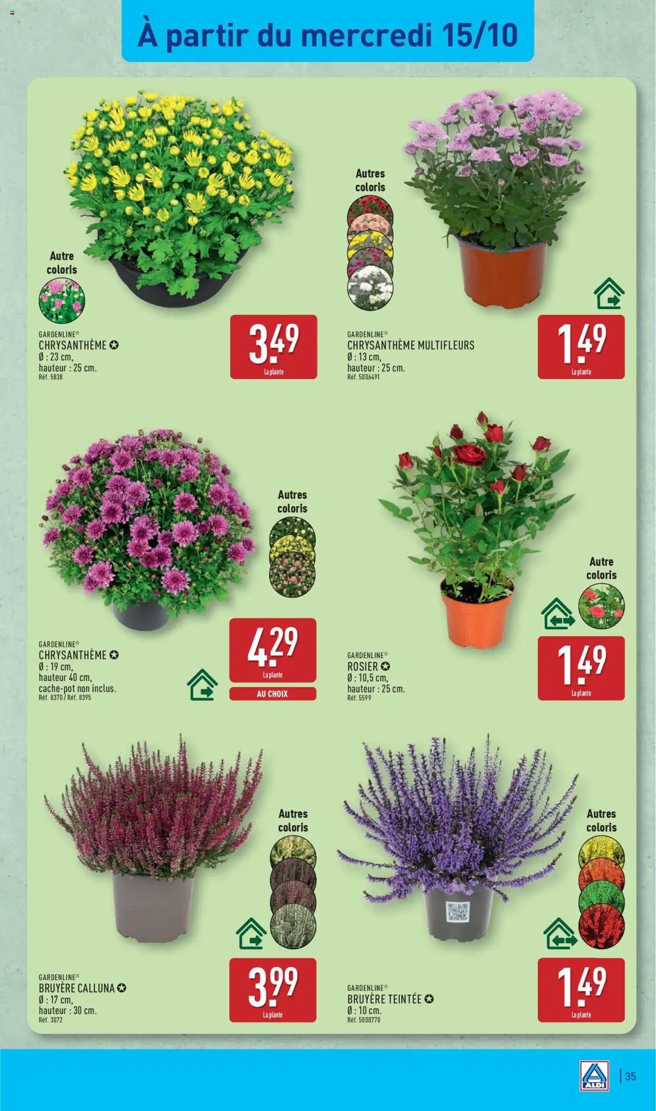 {H1} | Page: 37 | Produits: Rosier, Chrysanthème