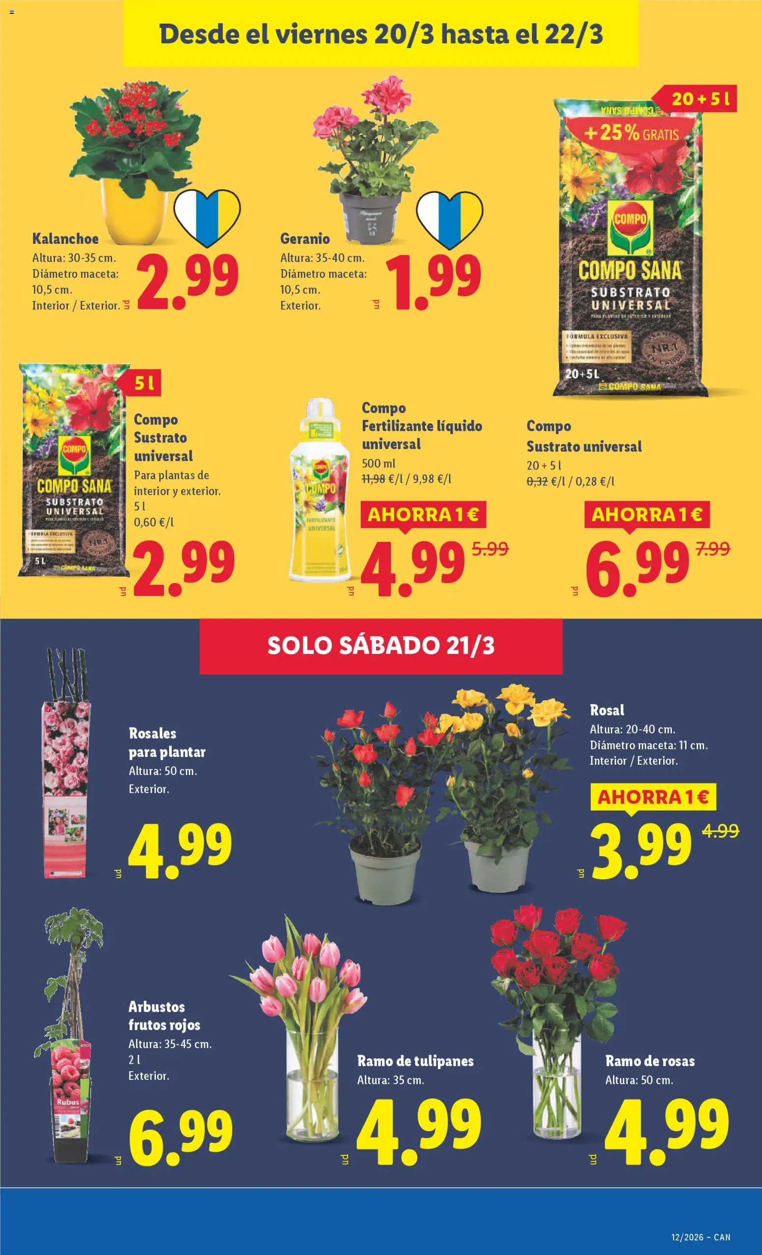 Lidl folleto │ válido desde el 16.03.2026 | Página: 47 | Productos: Maceta