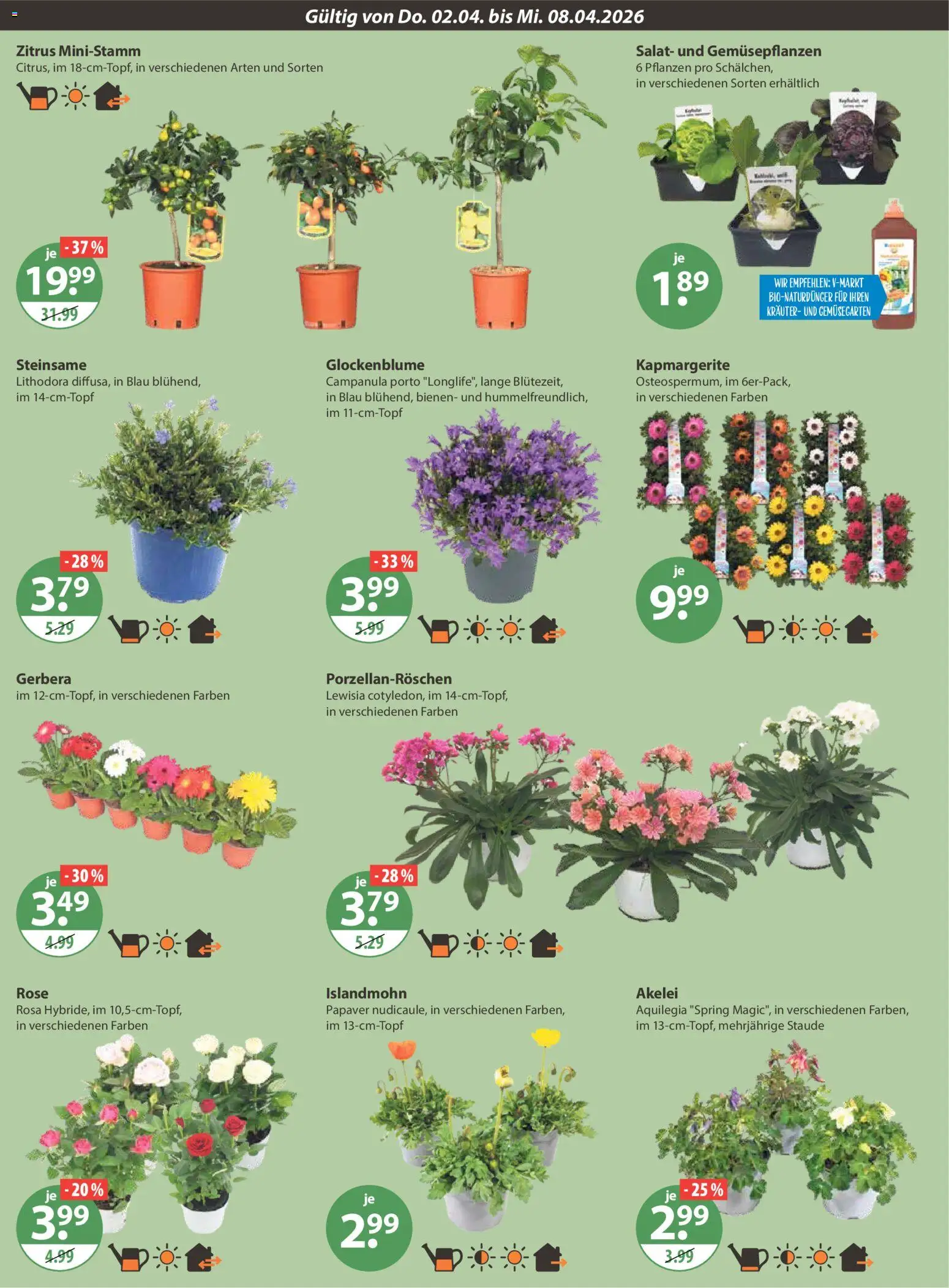 V-Markt Angebote – gültig ab 02.04.2026 | Seite: 20 | Produkte: Salat