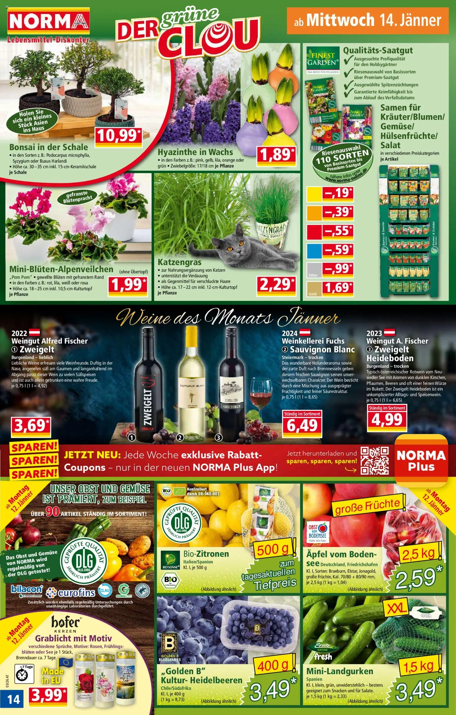 Norma Flugblatt gültig ab 12.01.2026 | Seite: 14 | Produkte: Salat, Gemüse, Obst, Duft
