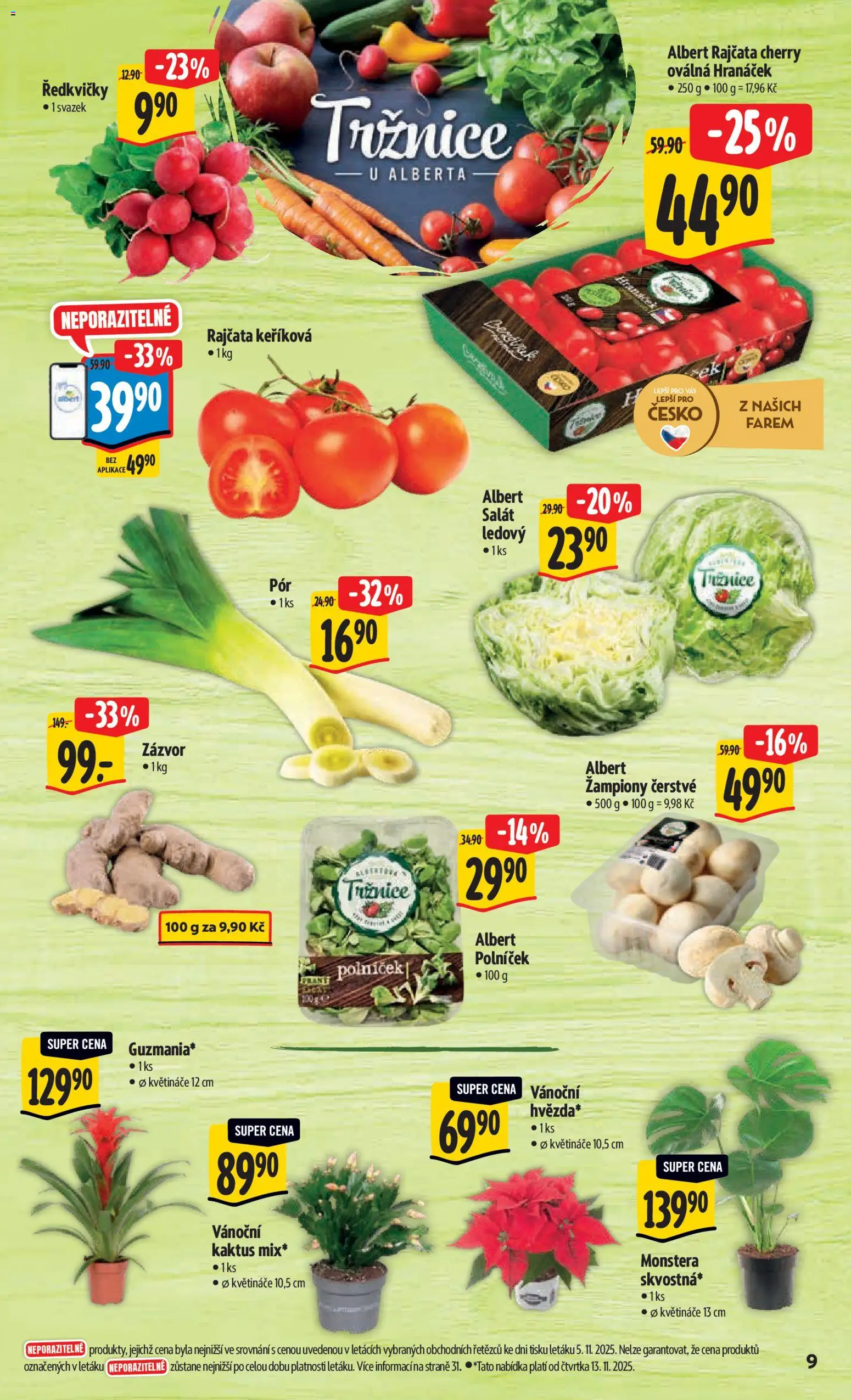 Albert Black Friday od 12.11.2025 | Strana: 16 | Produkty: Monstera, Květináče, Salát, Polníček