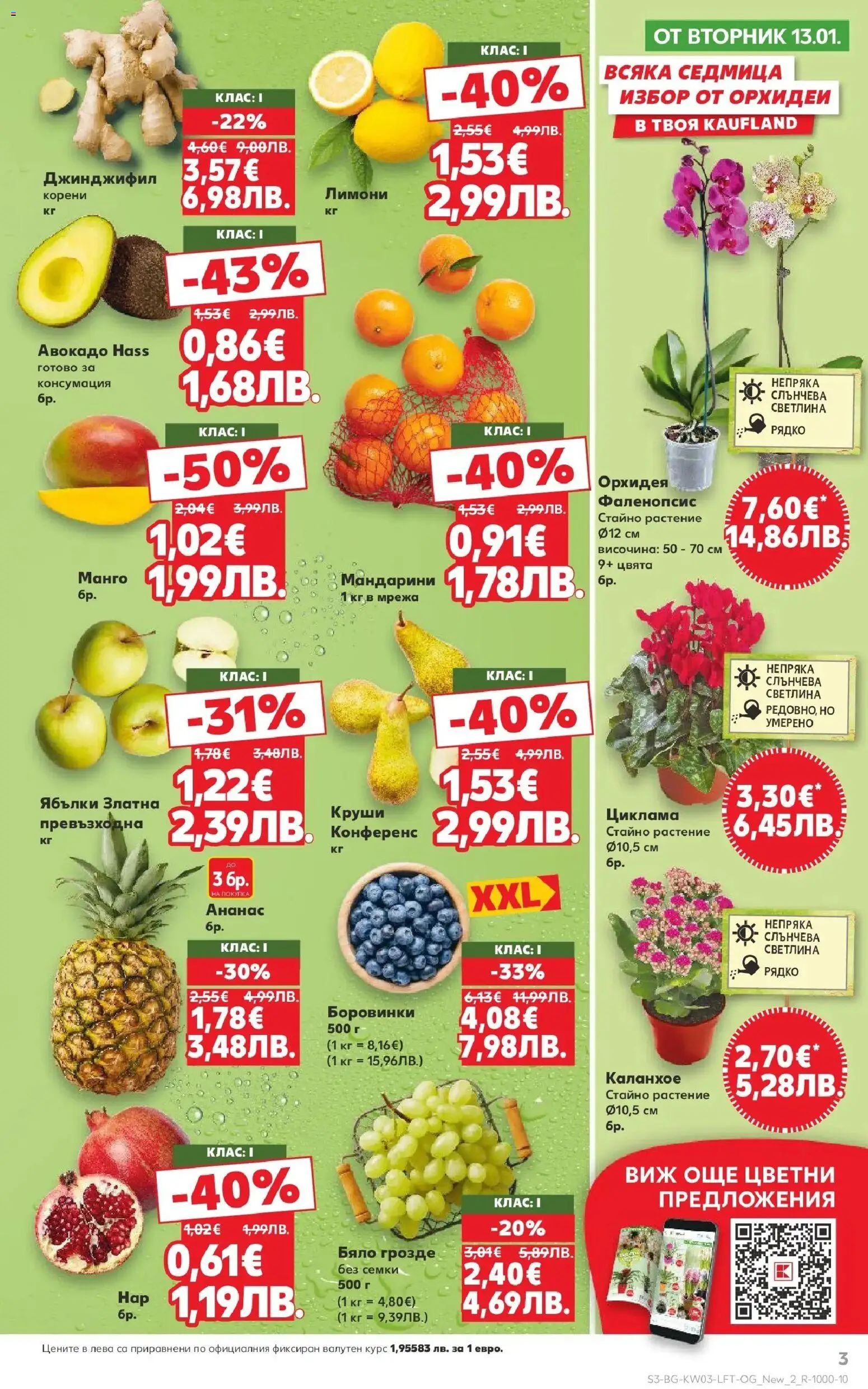 {H1} | Страница: 3 | Продукти: Мандарини, Ананас, Орхидея, Семки