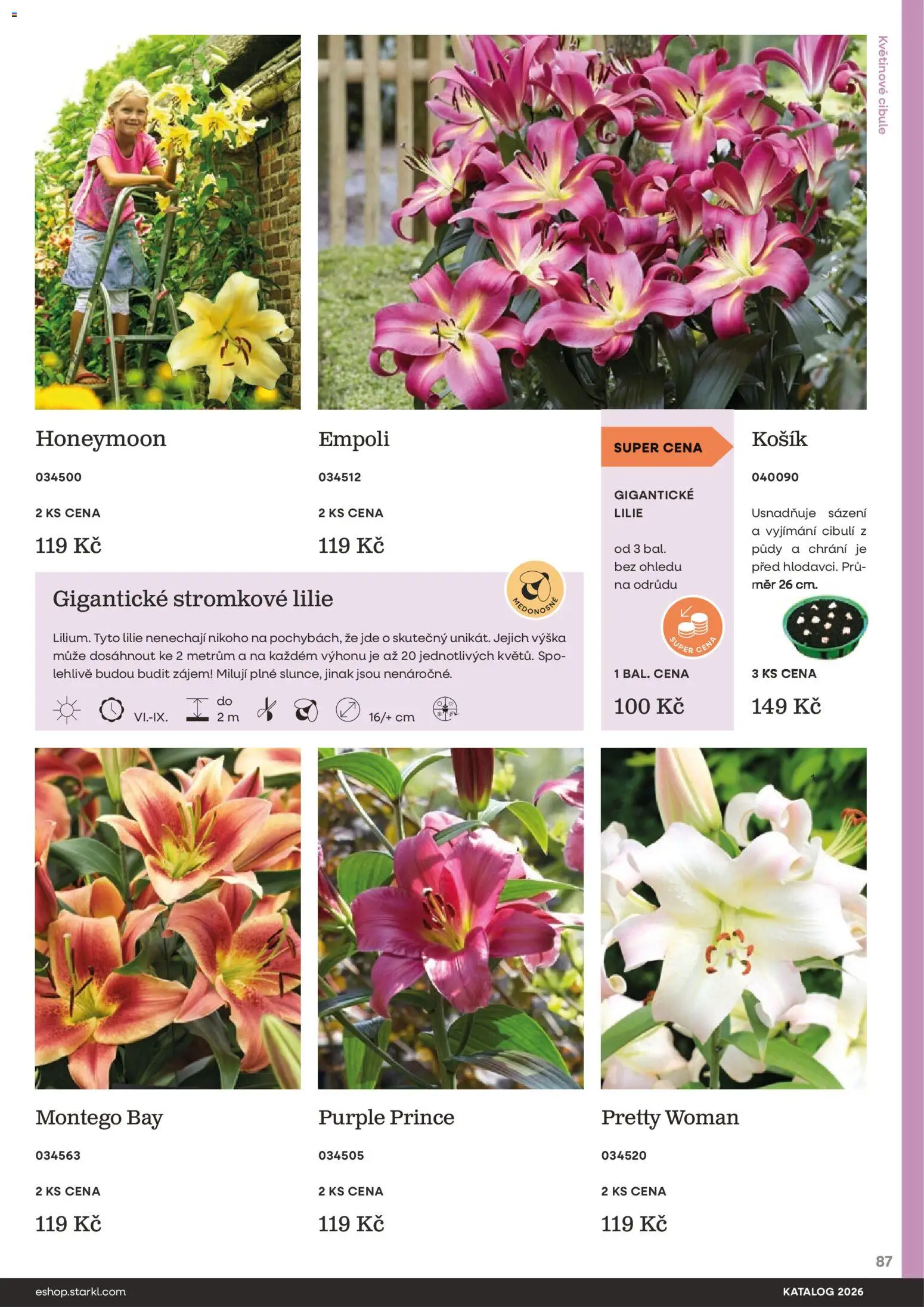 Starkl katalog od 25.02.2026 | Strana: 87 | Produkty: Košík, Cibule