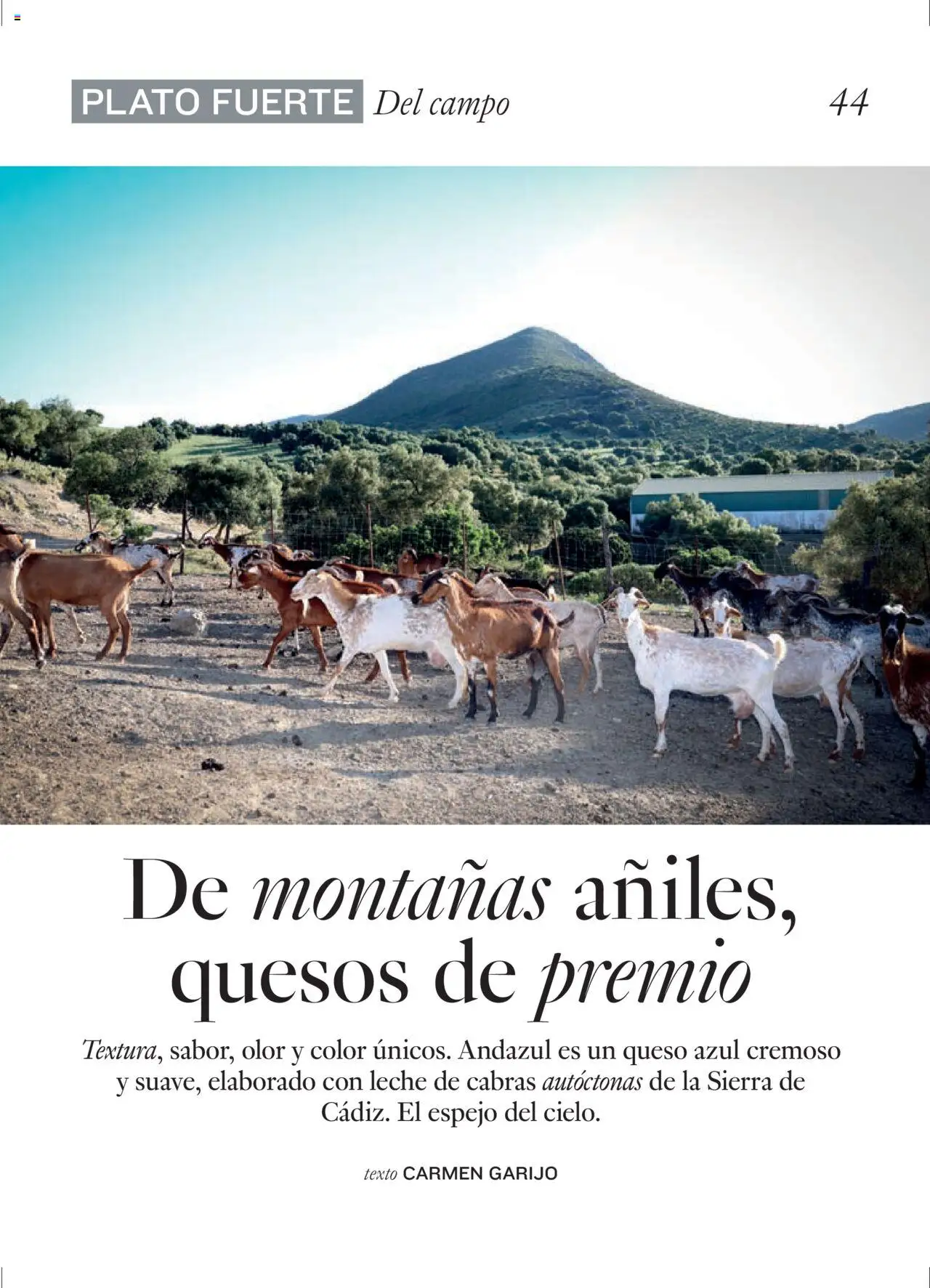 El Corte Inglés ofertas │ válido desde el 27.06.2025 | Página: 44 | Productos: Leche, Queso, Espejo