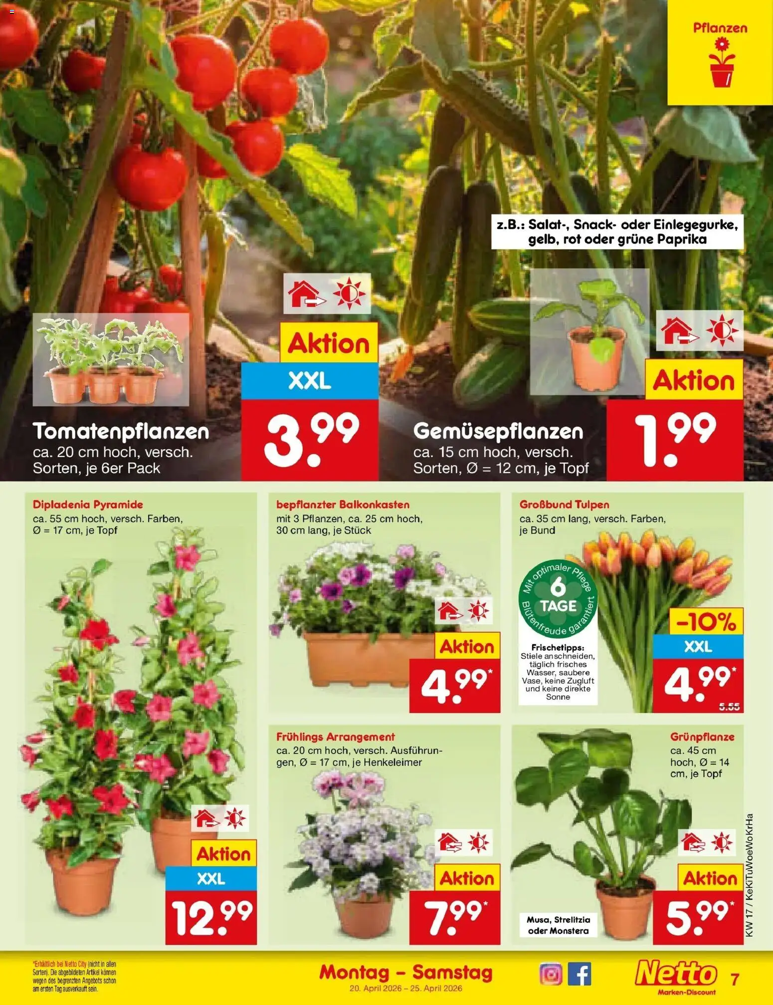 Netto Marken-Discount Prospekt Bonn	 – gültig ab 20.04.2026 | Seite: 9 | Produkte: Paprika