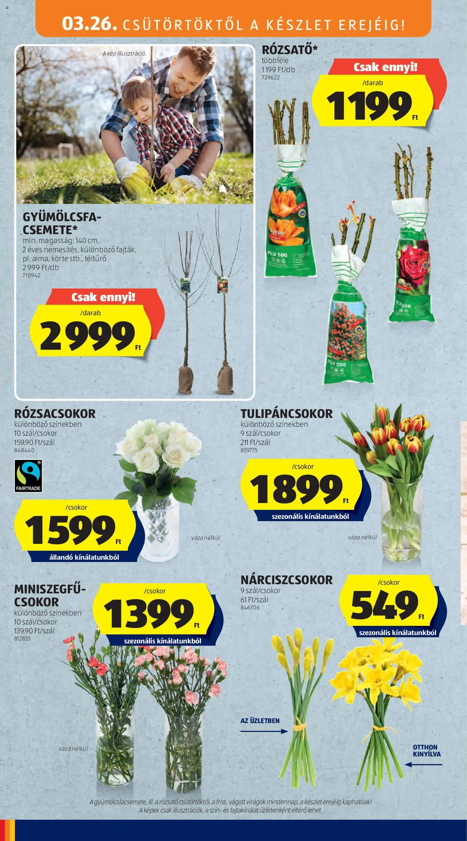 Aldi akciós újság ⚡ 2026.03.26.-tól/től ⚡ Szórólap | Magyarország