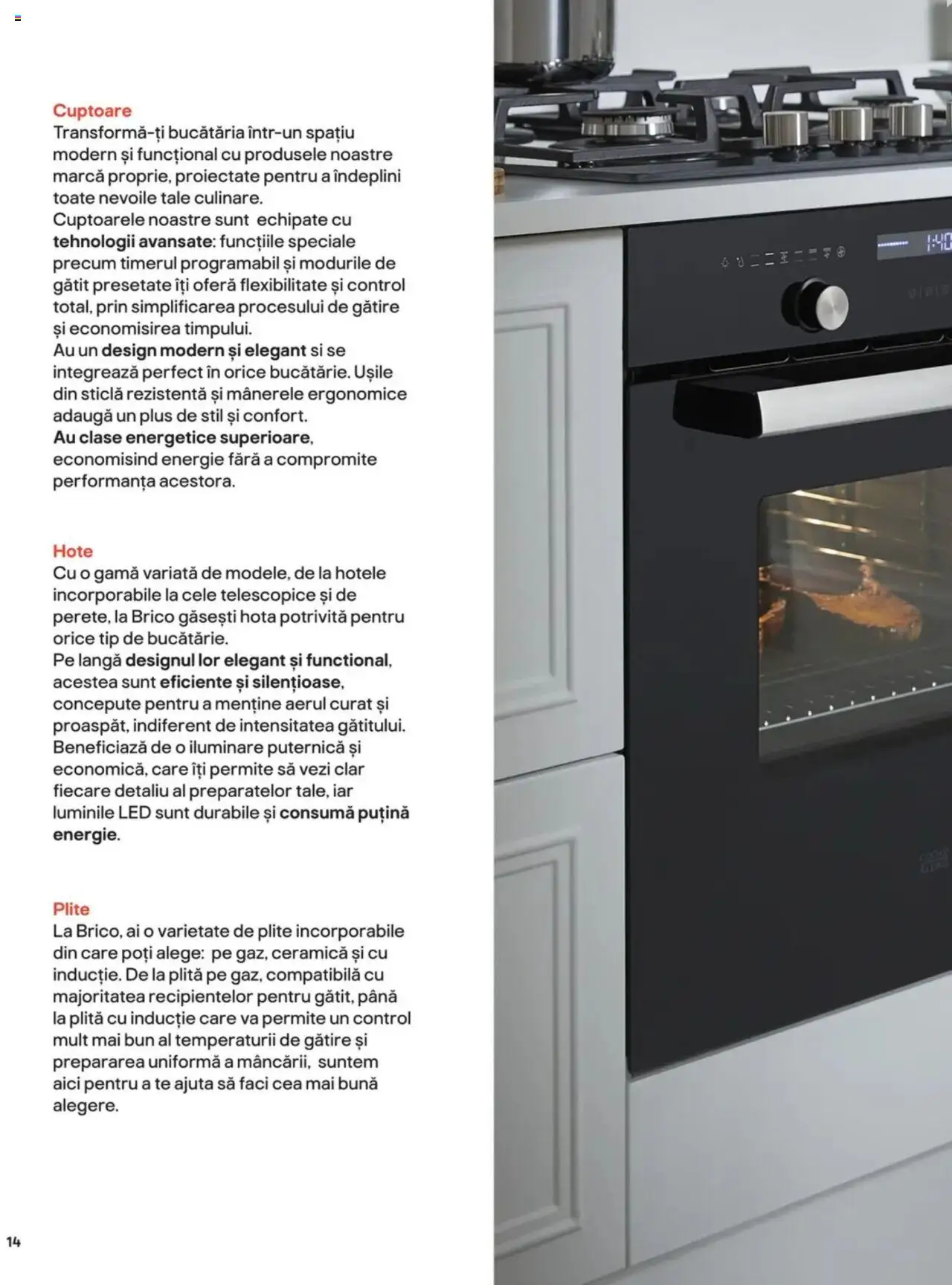 Noul catalog Brico Depot – valabil de la 15.08.2024 | Pagină: 14 | Produse: Hotă, Plită