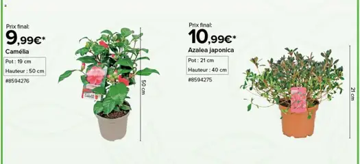 Costco - Prévisualisation de Costco Jardinage valide à partir de 11.03.2026 | Page: 3