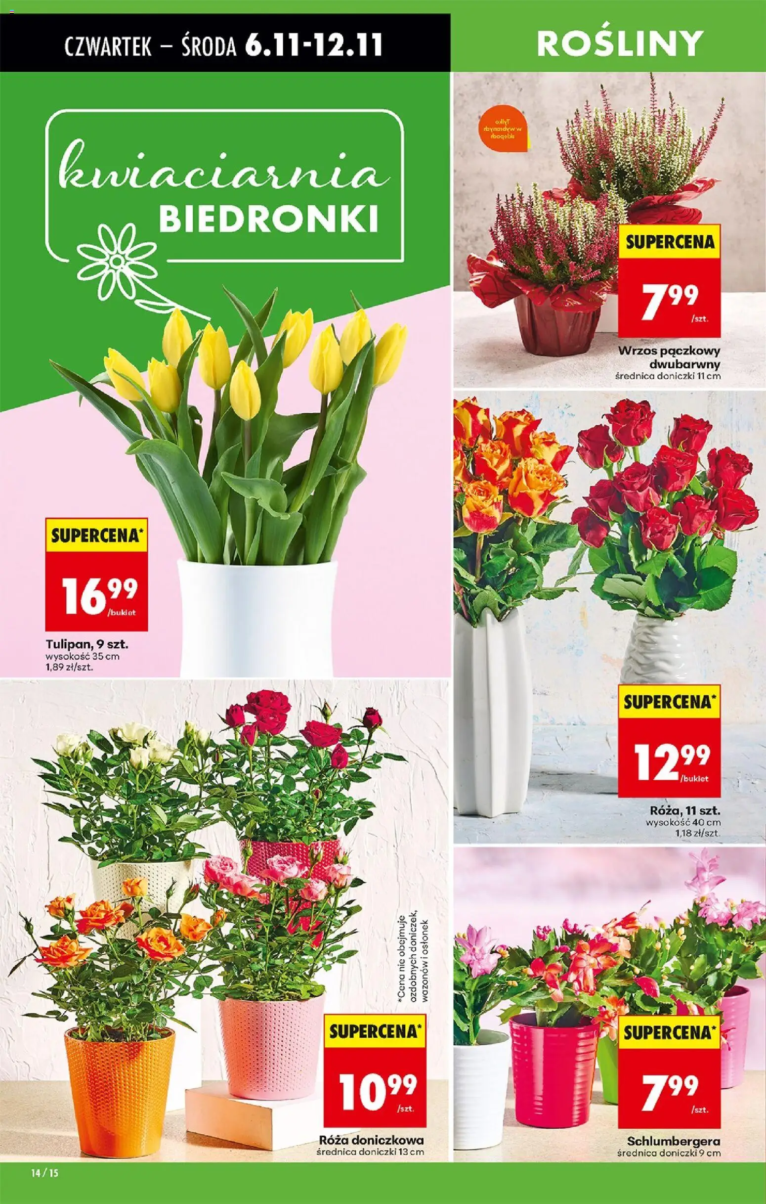 Biedronka gazetka - Oferta w tym tygodniu od 06.11.2025 | Strona: 18 | Produkty: Wrzos, Rosliny, Doniczki