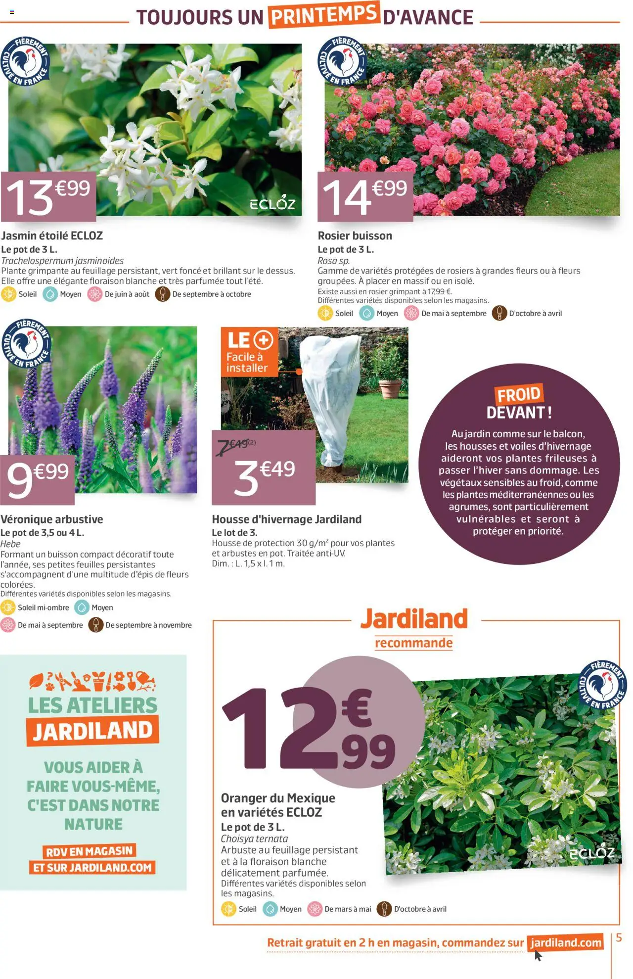 {H1} | Page: 5 | Produits: Rosier, Plantes
