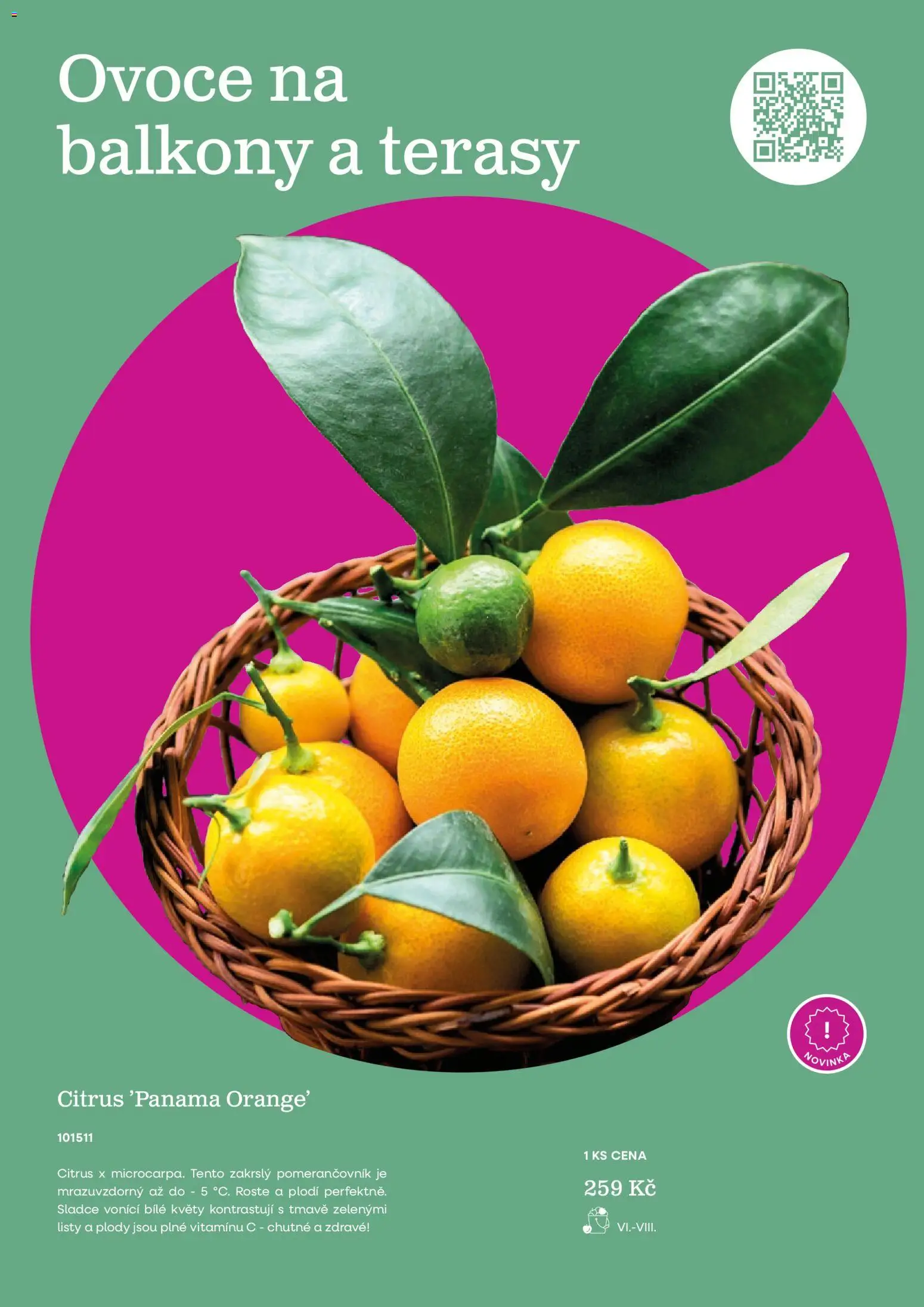 Starkl katalog Jaro 2026 od 25.02.2026 | Strana: 39 | Produkty: Ovoce