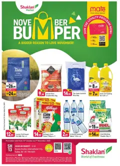 Preview of Shaklan - November Bumper - V-06, Russia Cluster International City valid from 31.10.2025