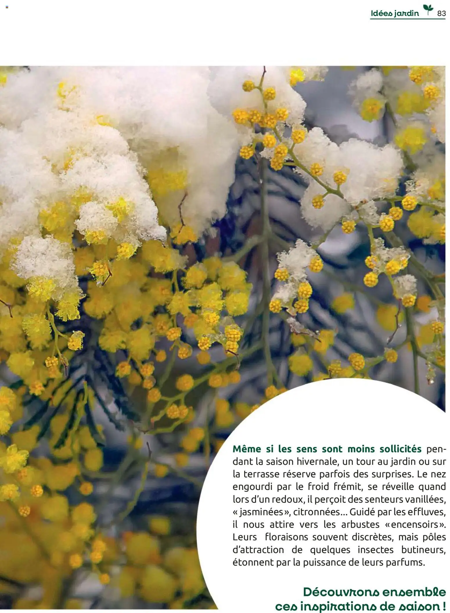 {H1} | Page: 83 | Produits: Mais