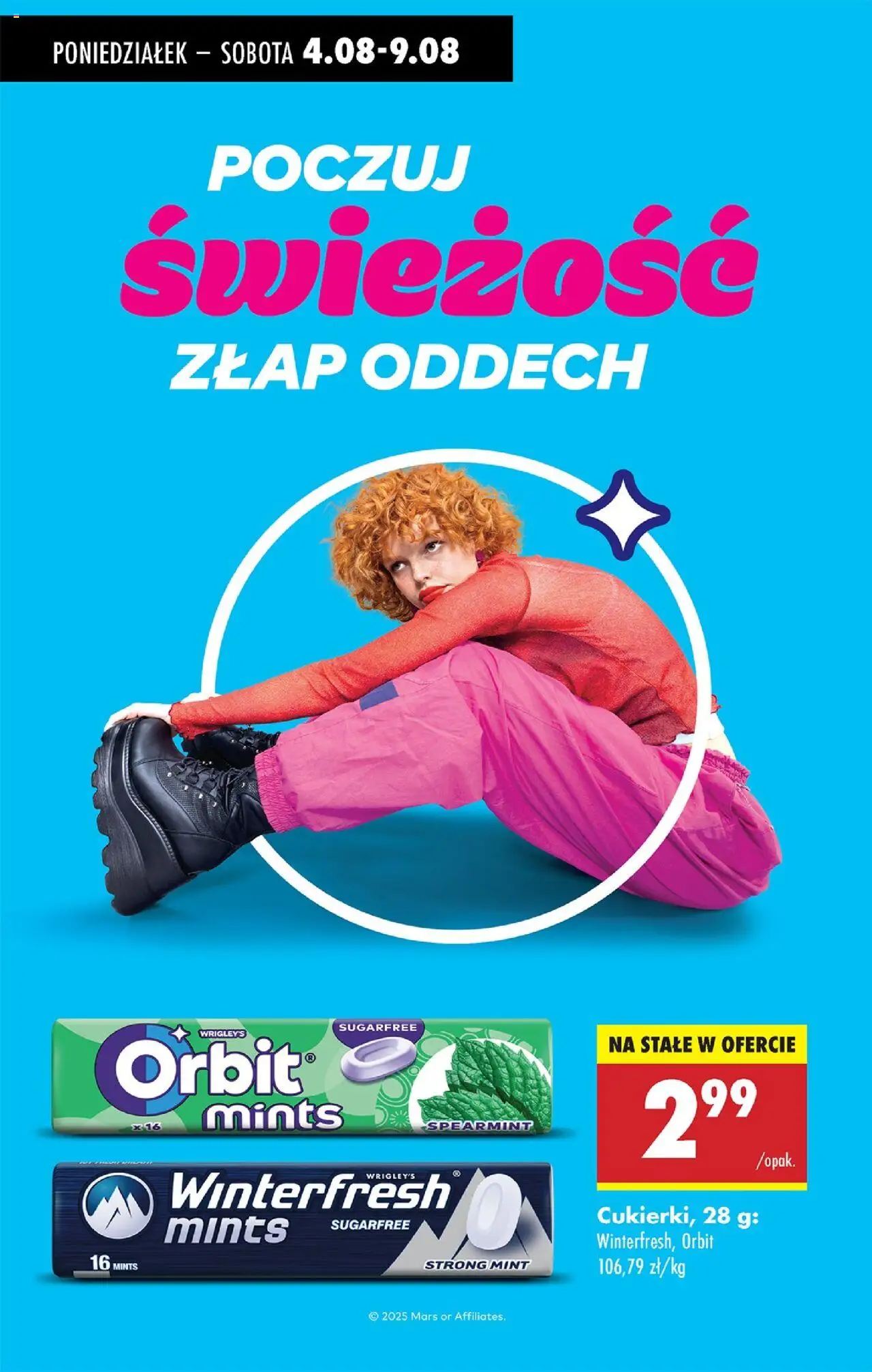 Biedronka gazetka od 04.08.2025 | Strona: 79