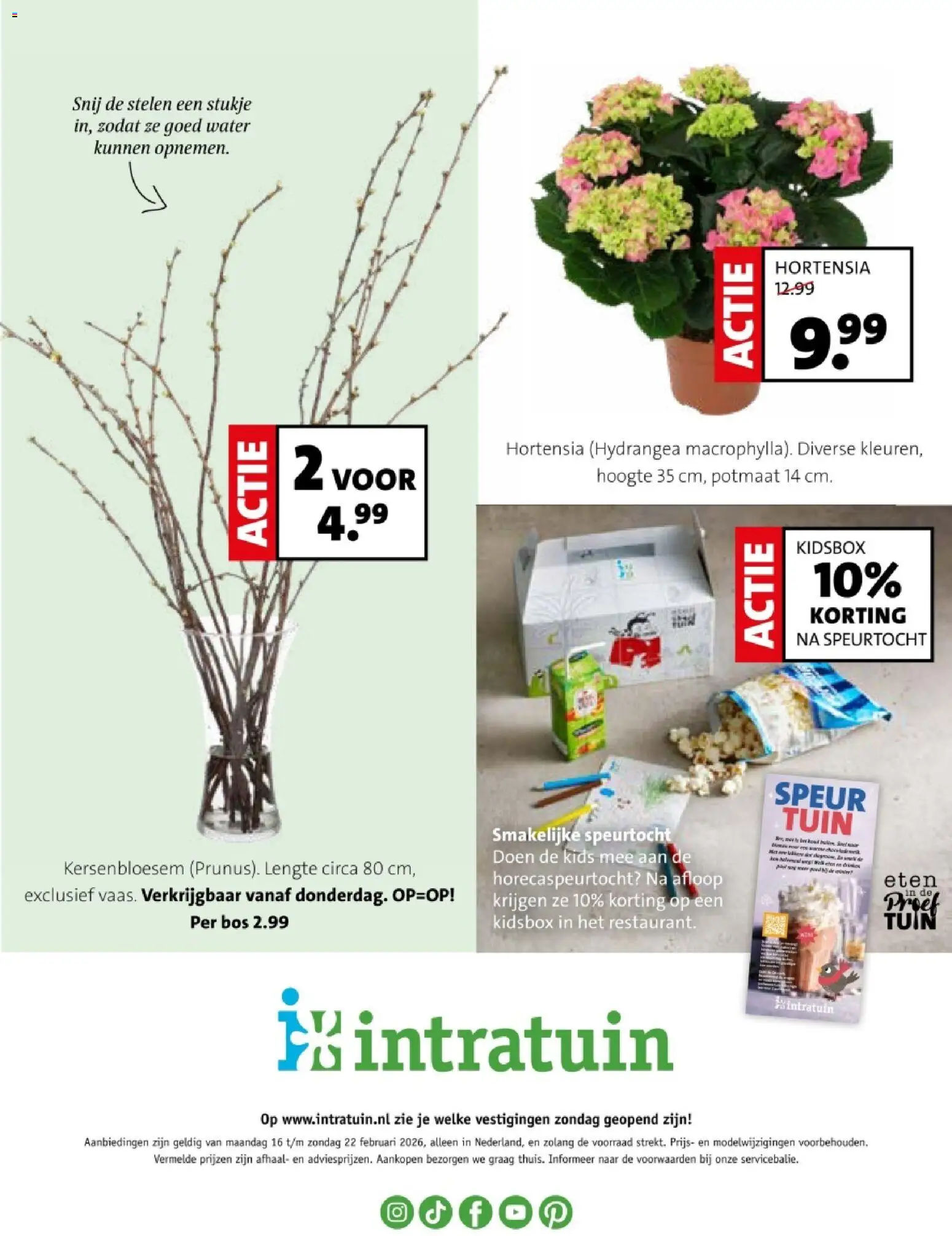 {H1} | Pagina: 30 | Producten: Festék