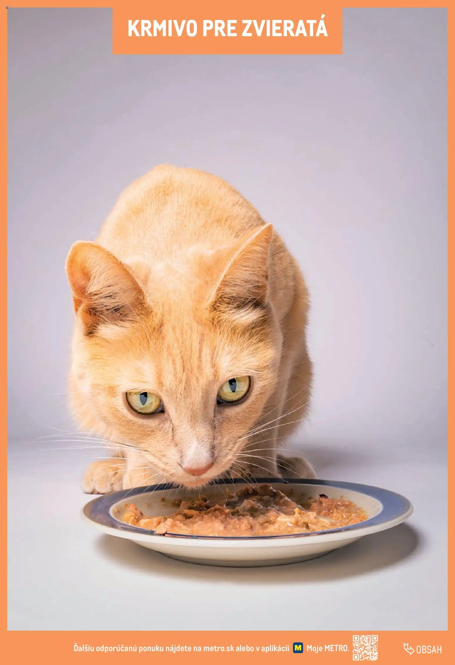 Nové Metro akcie – leták je platný od 01.01.2025 | Strana: 219