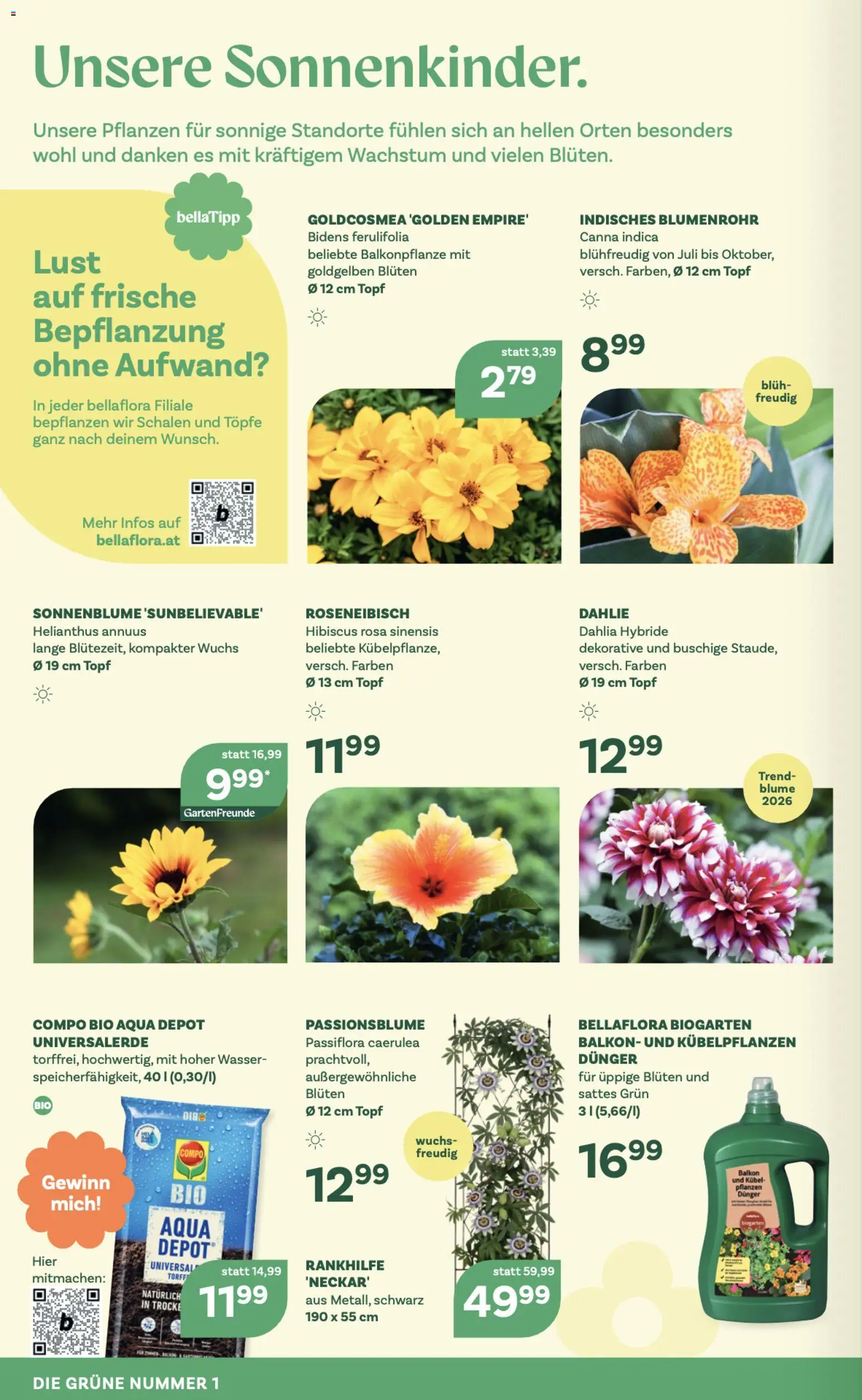 bellaflora Flugblatt gültig ab 23.04.2026 | Seite: 6 | Produkte: Wasser