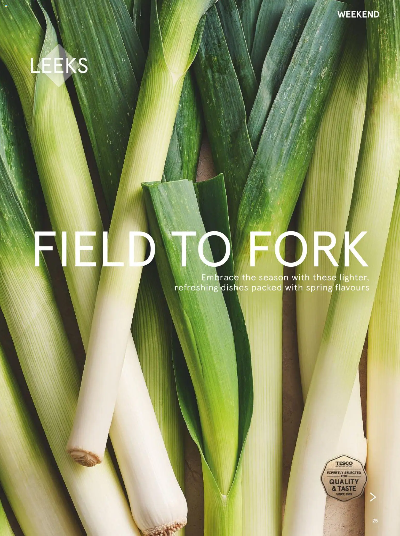 {H1} | Page: 25 | Products: Fork