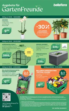 bellaflora Flugblatt ab 12.03.2026 gültig | Seite: 8 | Produkte: Orangen