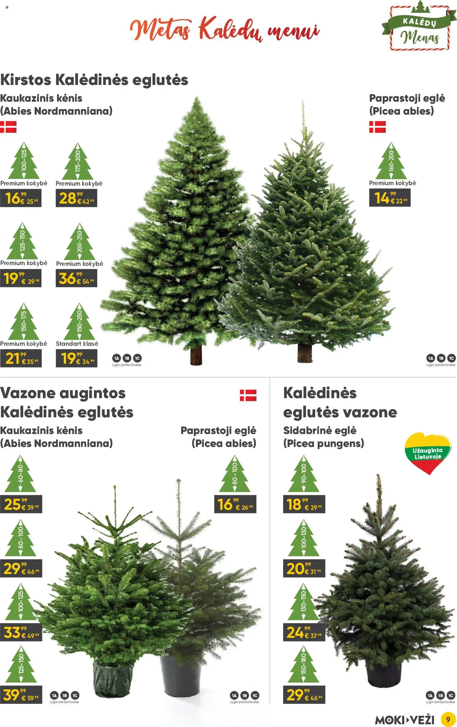 MOKI VEŽI akcijos nuo 11.12.2025 | Puslapis: 9