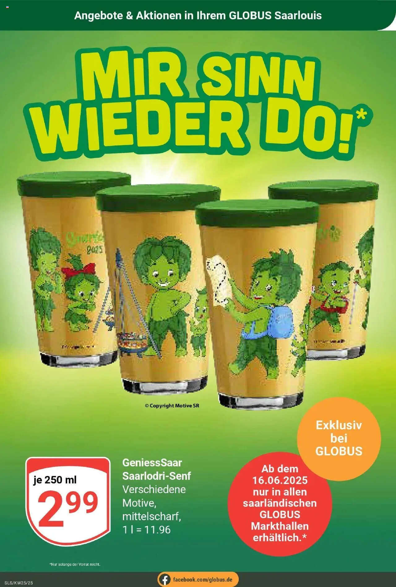 Globus prospekt Saarlouis	 - gültig ab dem 15.06.2025 | Seite: 15