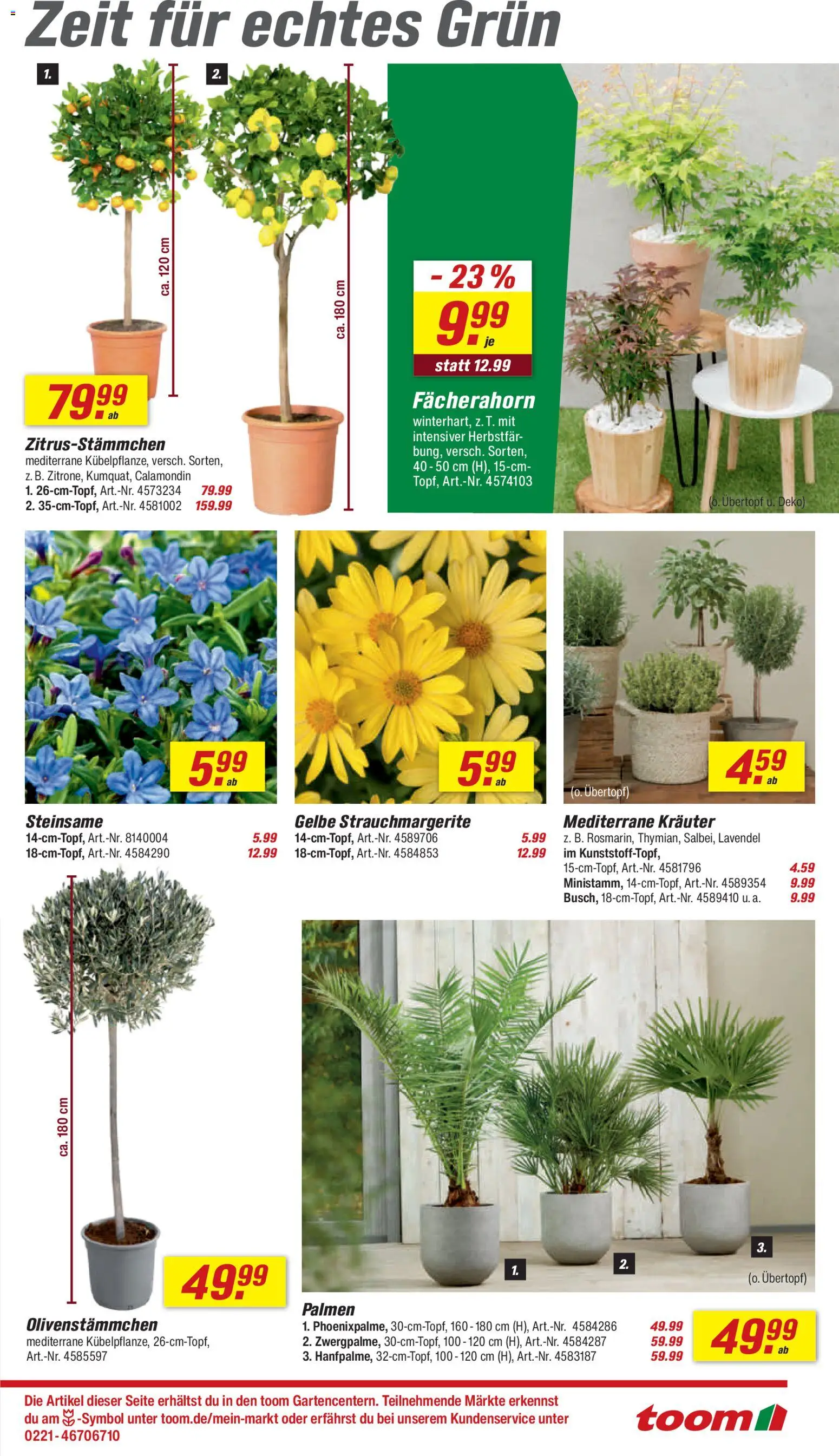 Toom Baumarkt Prospekt 	 – gültig ab 28.03.2026 | Seite: 3 | Produkte: Lavendel