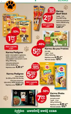 Żabka Gazetka od 13.08.2025 | Strona: 75 | Produkty: Pedigree, Karma dla psa, Wołowina, Warzywa