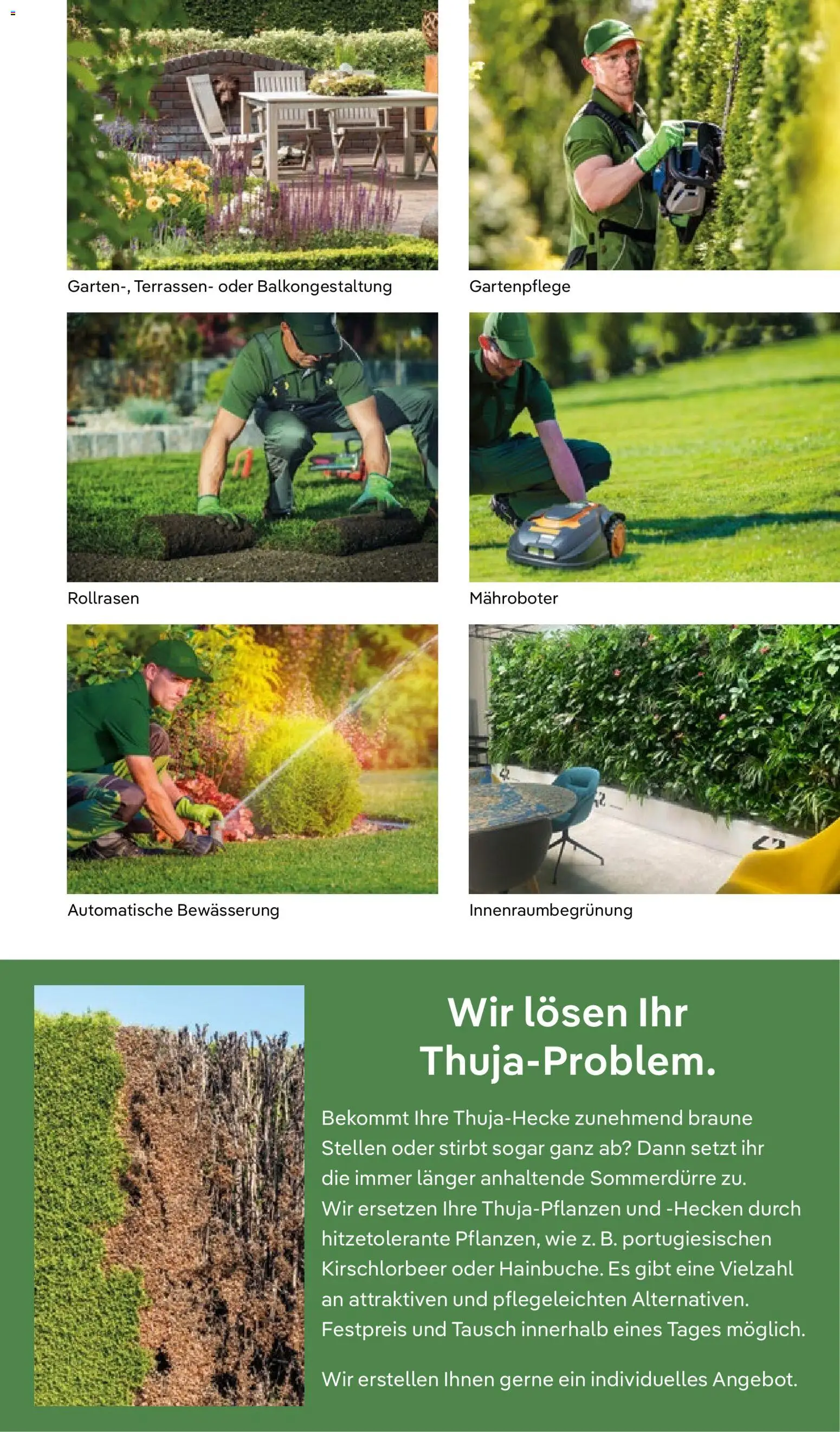 Pflanzen-Kölle Valentinstag – gültig ab 09.02.2026 | Seite: 11