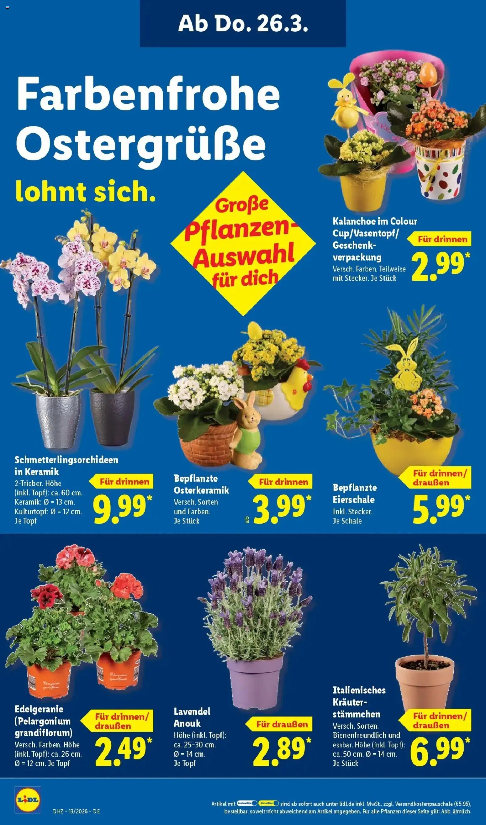 Lidl Prospekt Hamburg – gültig ab 23.03.2026 | Seite: 14 | Produkte: Top, Lavendel