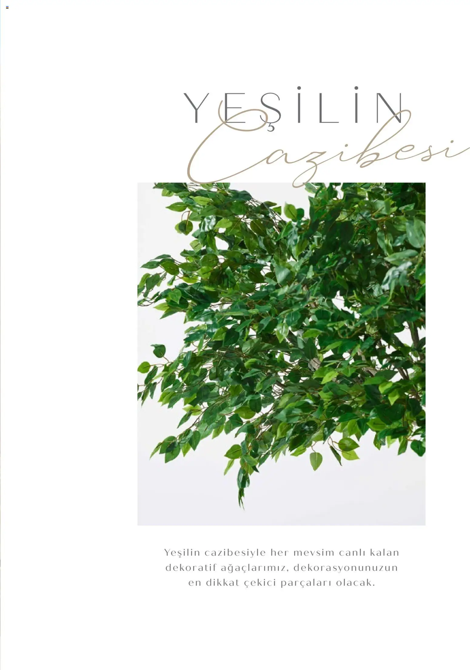 Mudo - Katalog  Ağaç 2026 - 01.01.2026 tarihinden itibaren geçerlidir | Sayfa: 5