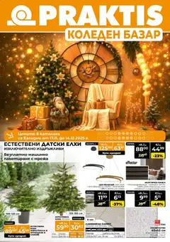 Преглед на Praktis брошура - Офертите са валидни от 17.11.2025