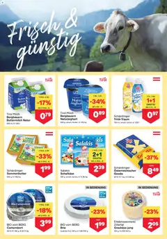 MPREIS Flugblatt ab 19.02.2026 gültig | Seite: 5