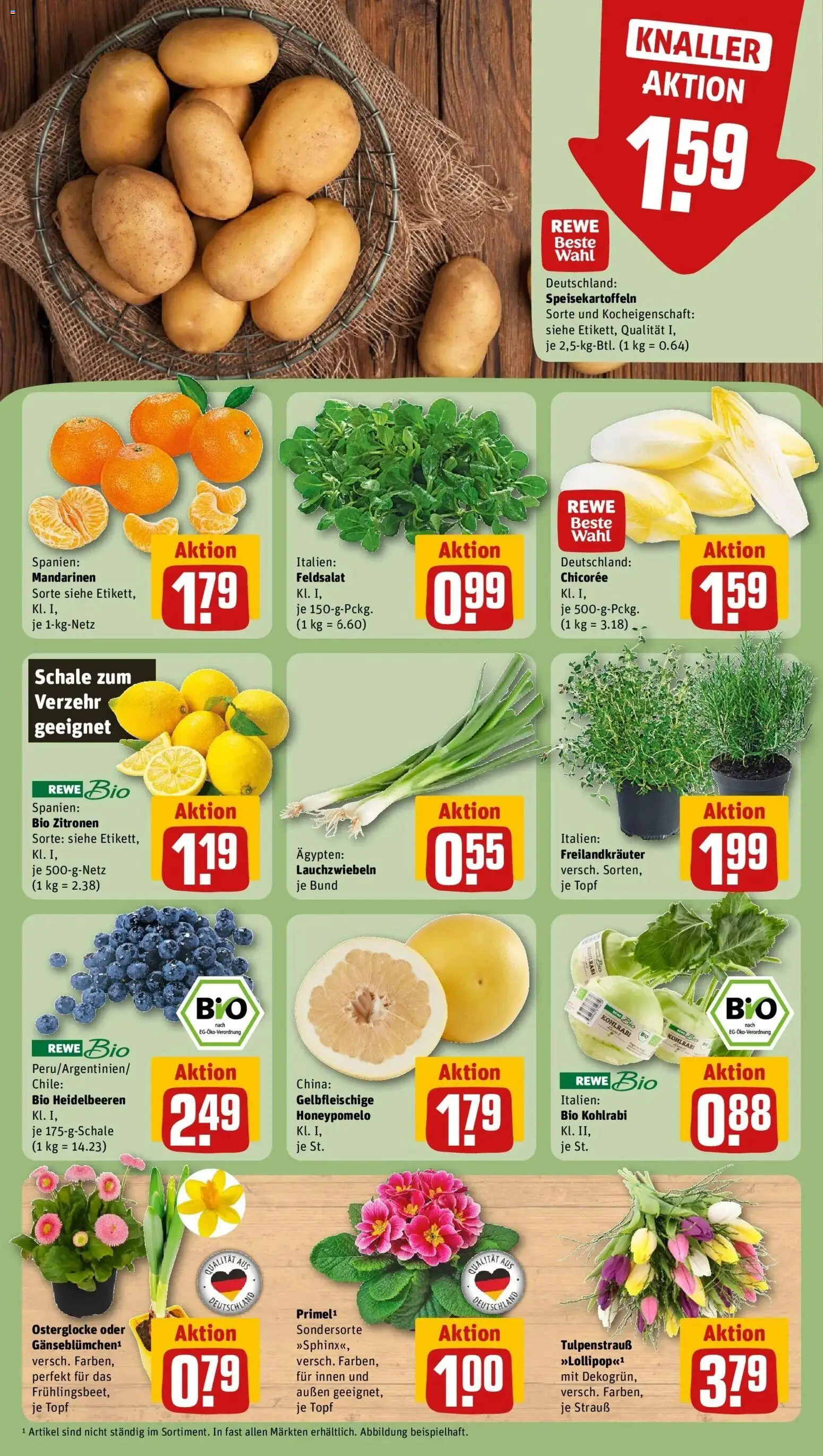 Rewe prospekt Hannover	 – gültig ab 16.02.2026 | Seite: 9 | Produkte: Kohlrabi, Mandarinen, Heidelbeeren, Zitronen