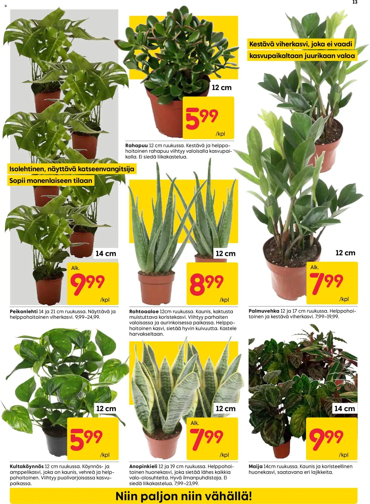 Rusta tarjoukset – voimassa 05.01.2026 alkaen | Sivu: 13