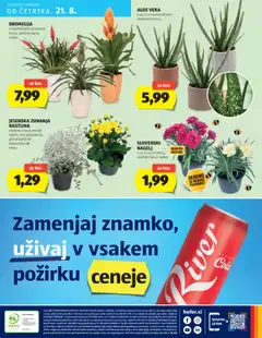 Hofer katalog │ velja od 14.08.2025 | Stran: 32 | Izdelki: Kos